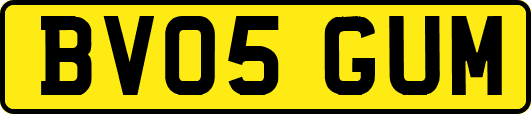 BV05GUM