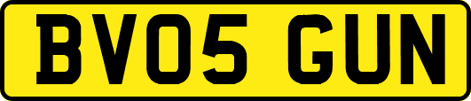 BV05GUN