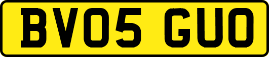 BV05GUO