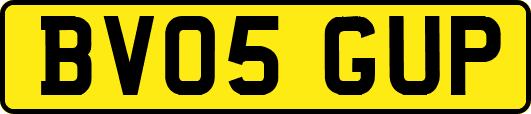 BV05GUP
