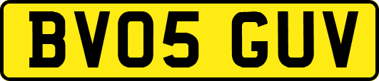 BV05GUV