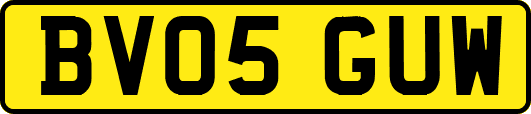 BV05GUW