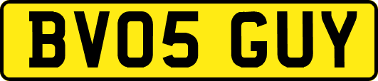 BV05GUY
