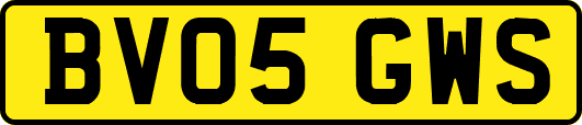 BV05GWS