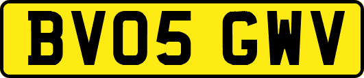 BV05GWV