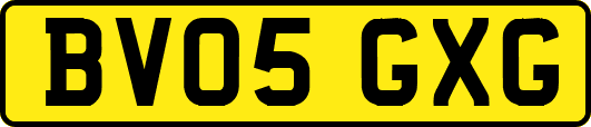 BV05GXG