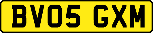 BV05GXM