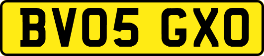 BV05GXO