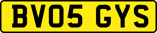 BV05GYS