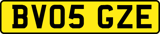 BV05GZE