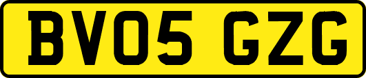 BV05GZG