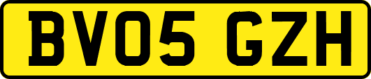 BV05GZH