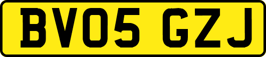 BV05GZJ