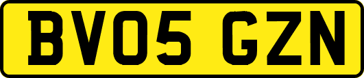 BV05GZN