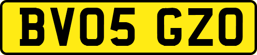 BV05GZO