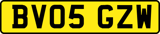 BV05GZW