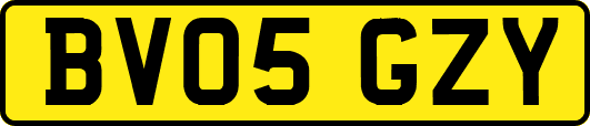 BV05GZY