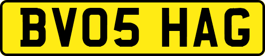 BV05HAG
