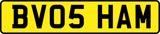 BV05HAM