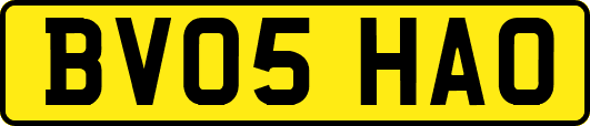 BV05HAO