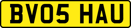 BV05HAU