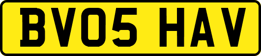 BV05HAV