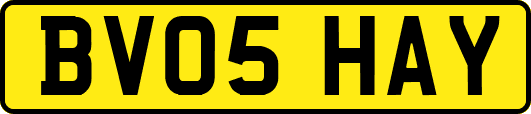 BV05HAY