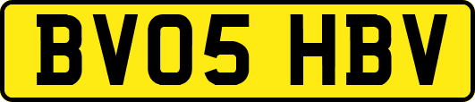 BV05HBV