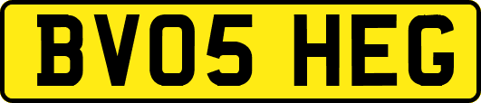 BV05HEG