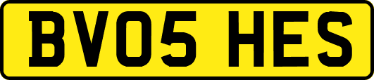 BV05HES