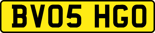 BV05HGO
