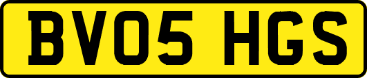 BV05HGS