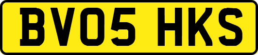 BV05HKS