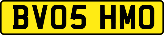 BV05HMO