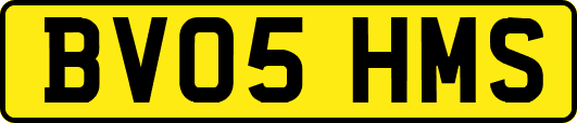 BV05HMS