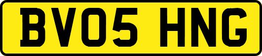 BV05HNG