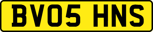 BV05HNS