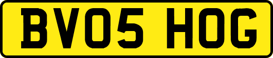 BV05HOG