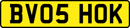 BV05HOK