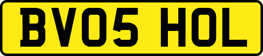 BV05HOL