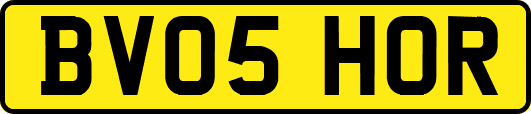 BV05HOR