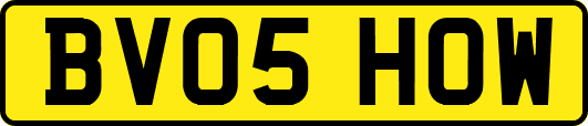 BV05HOW