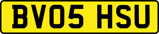 BV05HSU