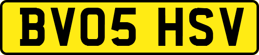 BV05HSV