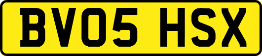 BV05HSX