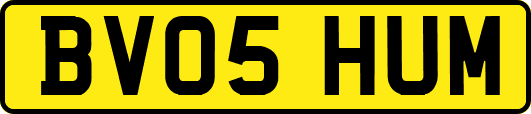 BV05HUM