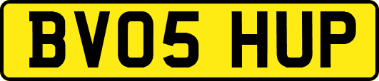 BV05HUP