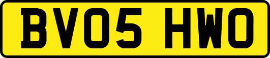BV05HWO