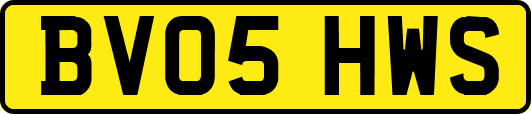 BV05HWS
