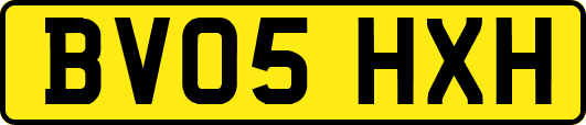 BV05HXH